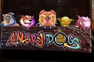 Angry Dogs